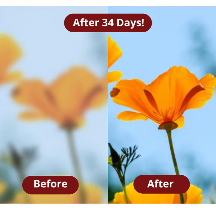 Astaxanthin Softgels By Alolevi™